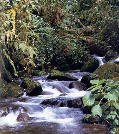 Land of wood and water ..